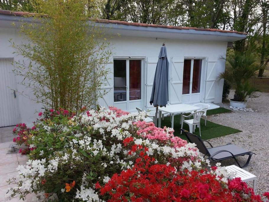Chalet A Louer Pres De Dax Mees Экстерьер фото